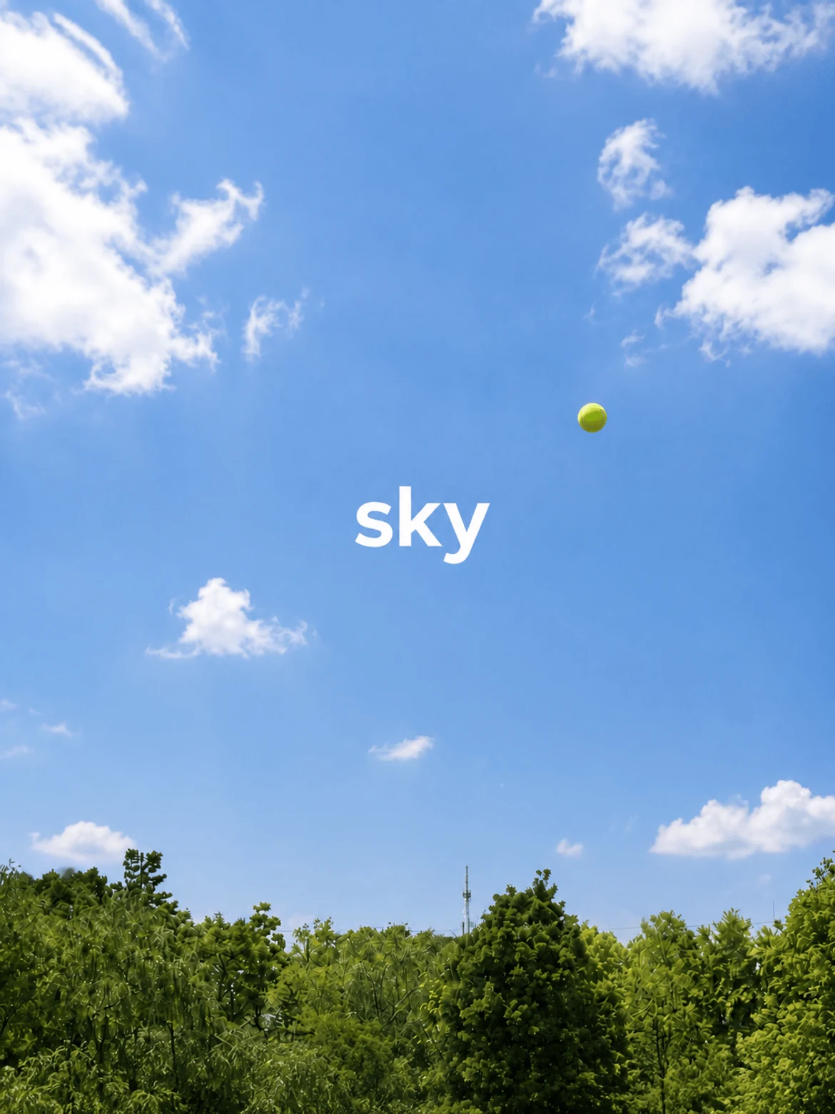 SKY 原创实拍:蓝天白云下,一颗腾空的网球与白色 sky 字样,树梢位于画面底部